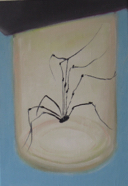 Spinne 1 - 35 x 50 cm